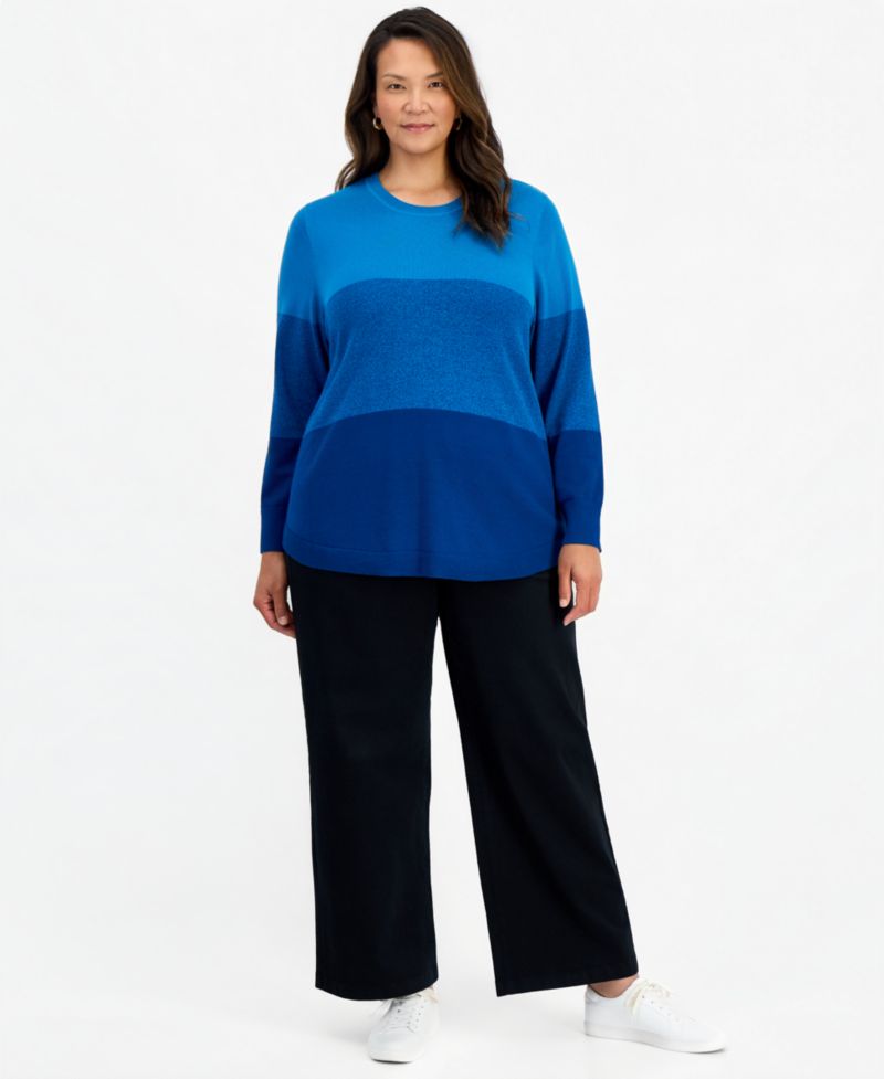 Petite Cotton Colorblocked Curved-Hem Sweater