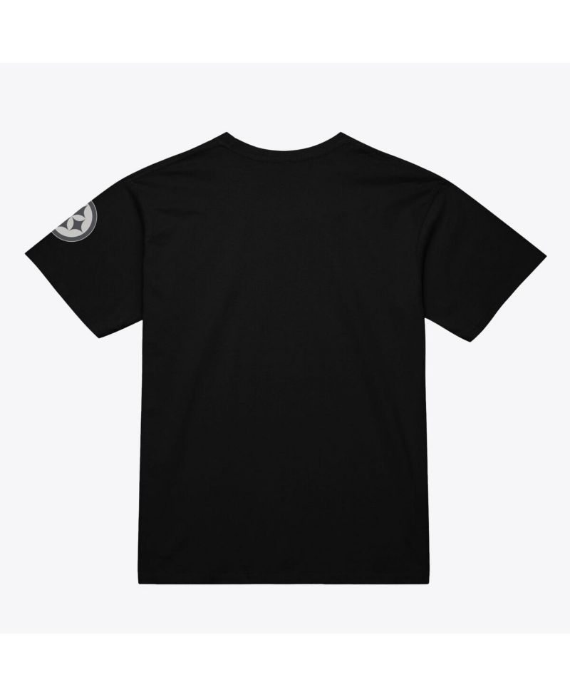 Men's Black Pittsburgh Steelers Head Coach Classic T-Shirt