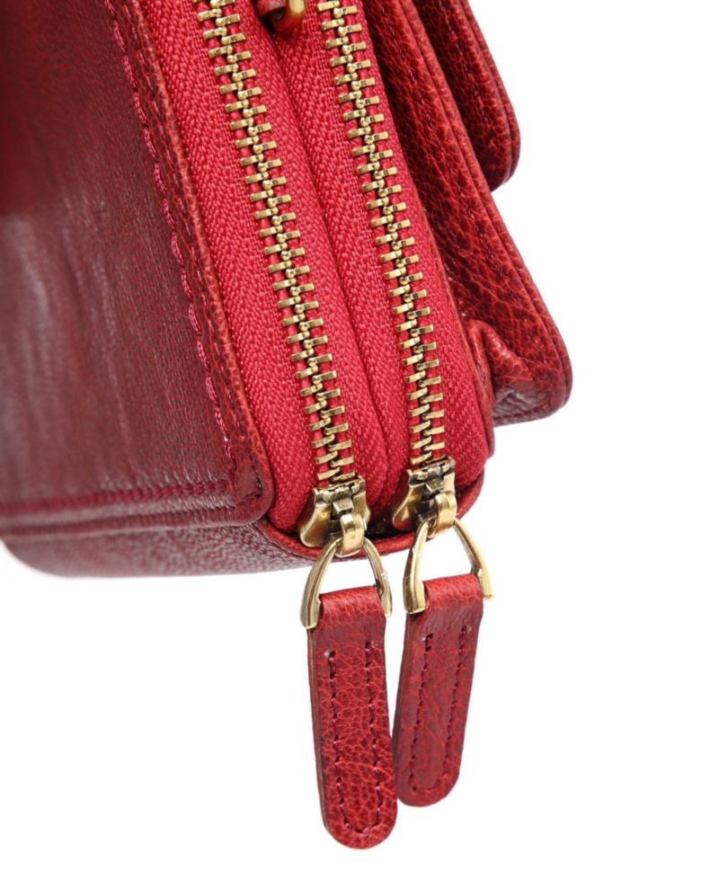 Northwood Mini Leather Crossbody Wallet