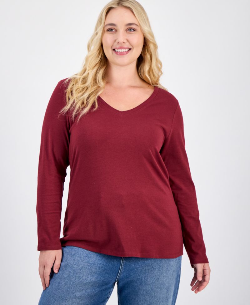 Plus Size Long Sleeve V-Neck Top
