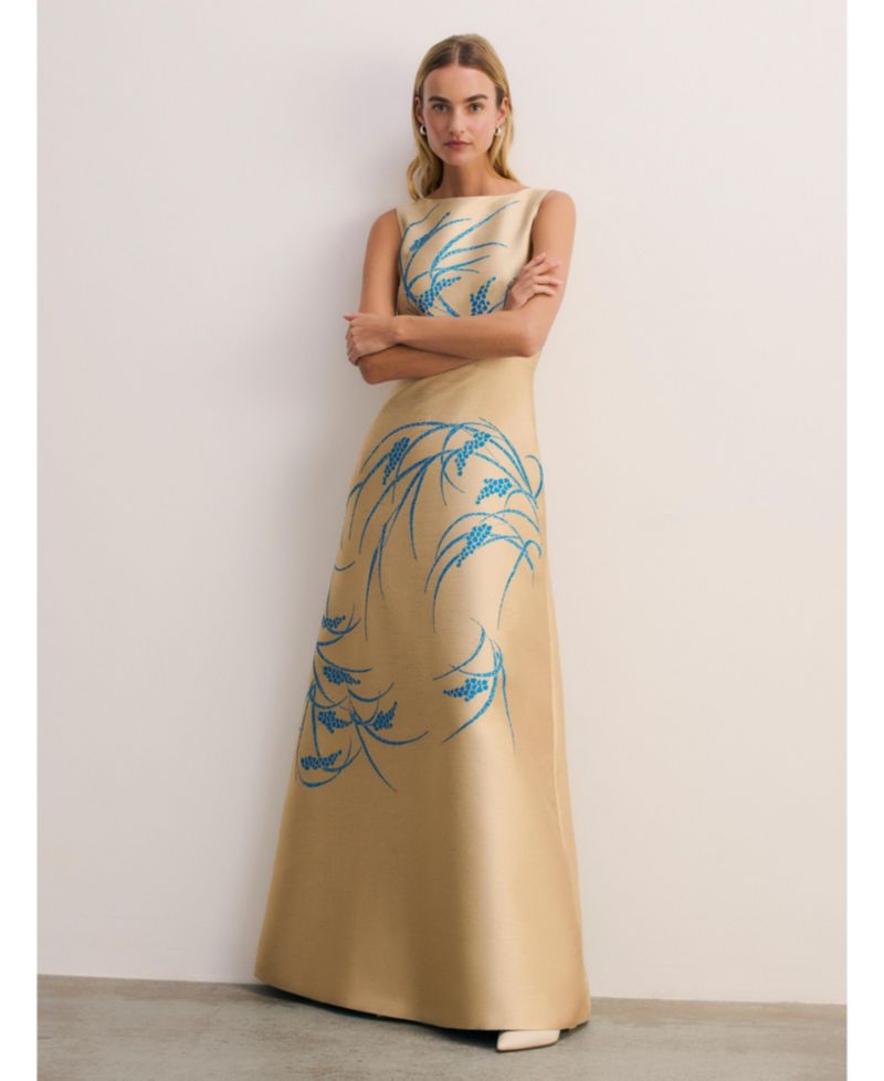 Women's Avila Embroidered A-Line Jacquard Maxi Gown