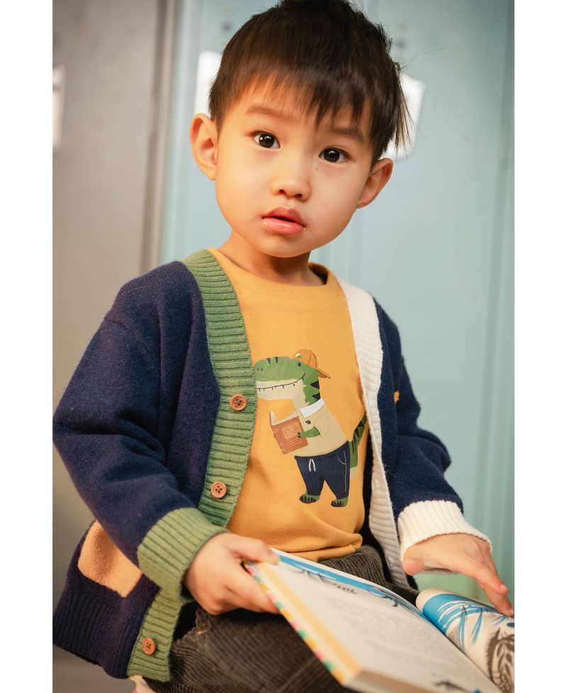 Big Boys 6-8 Years Knit Cardigan with Dino