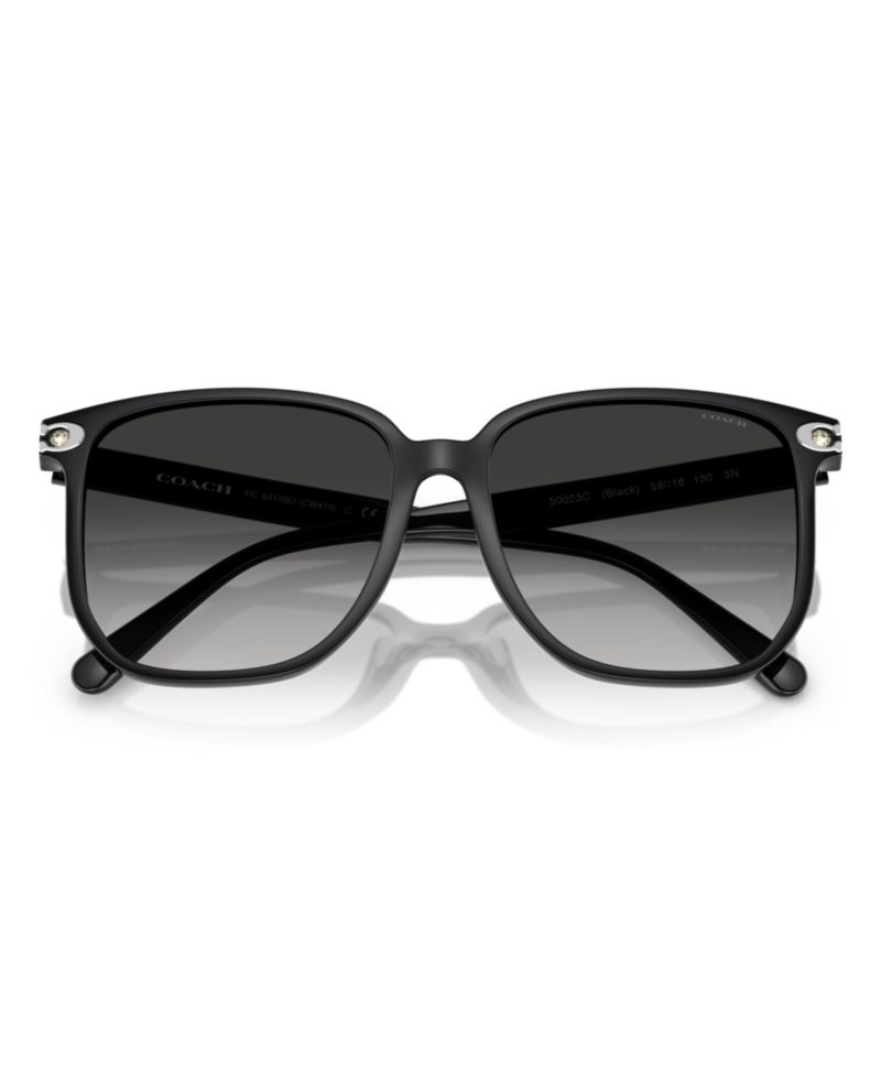 Women's Sunglasses, CW419 HC8413BD