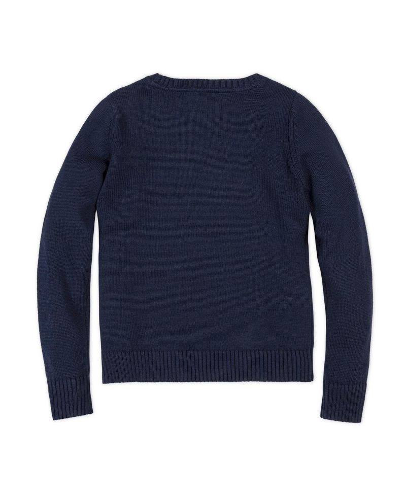 Little Boys Hope and Henry Organic Crew Neck Flag Sweater