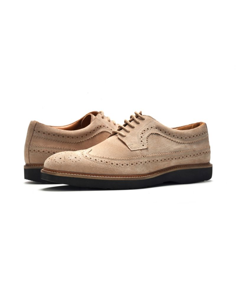 Men's Ellis Wingtip Lace-Up Shoe