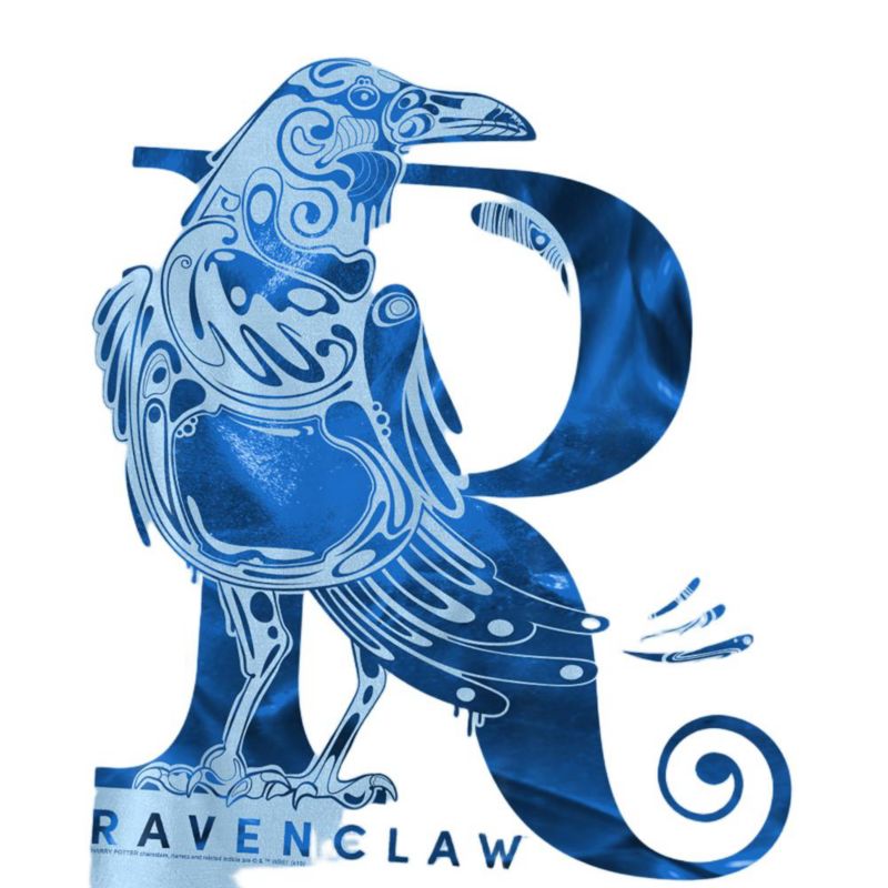 Men's Ravenclaw R T Shirt