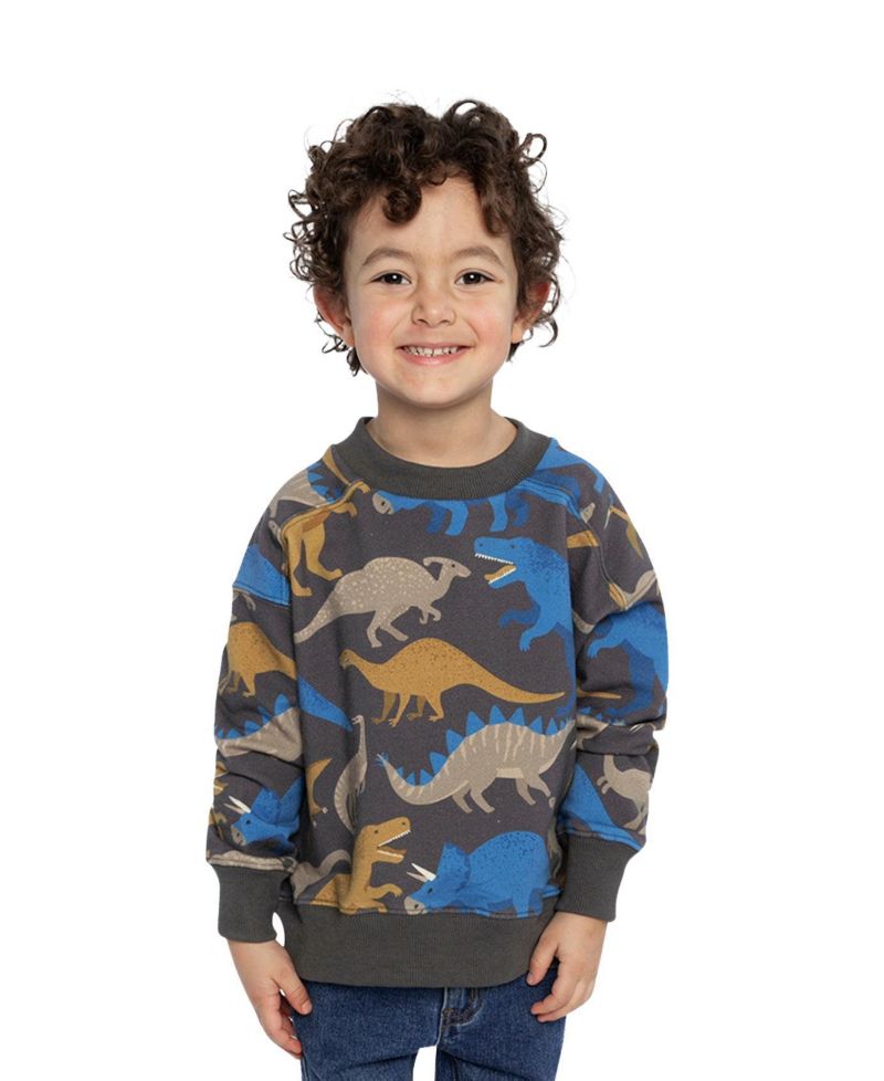 Little Boys (6-12) Fleece Sweatshirt