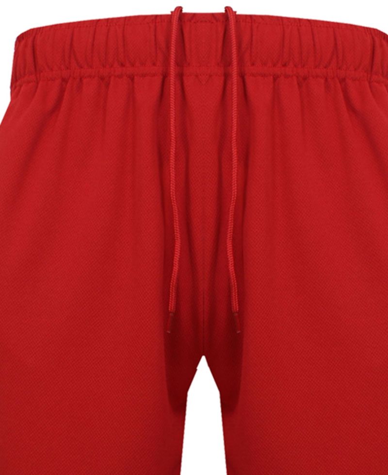 Men's 4-Pack Lightweight Breathable Moisture Wicking Mesh Shorts