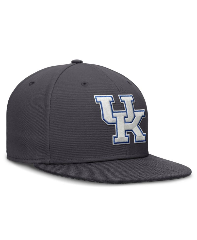 Men's Anthracite Kentucky Wildcats Pro Dri-FIT Fitted Hat
