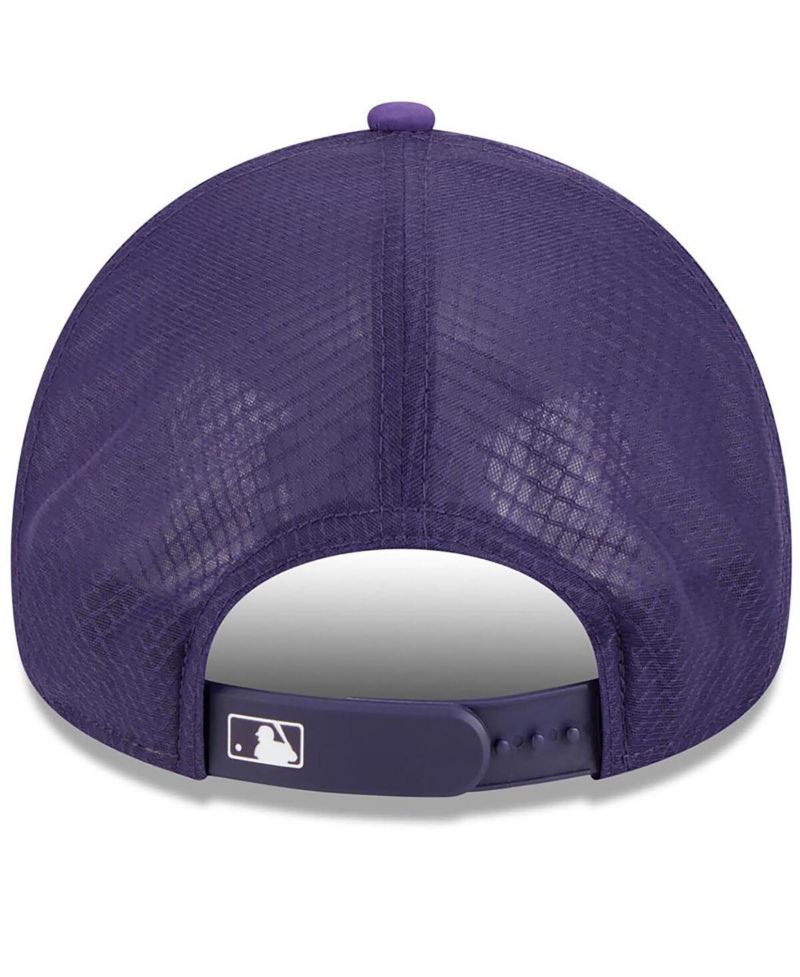 Men's Purple Arizona Diamondbacks 2026 Batting Practice Alternate Apex 9FORTY Adjustable Hat