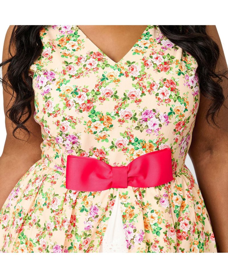 Plus Size Garden Party Swing Dress