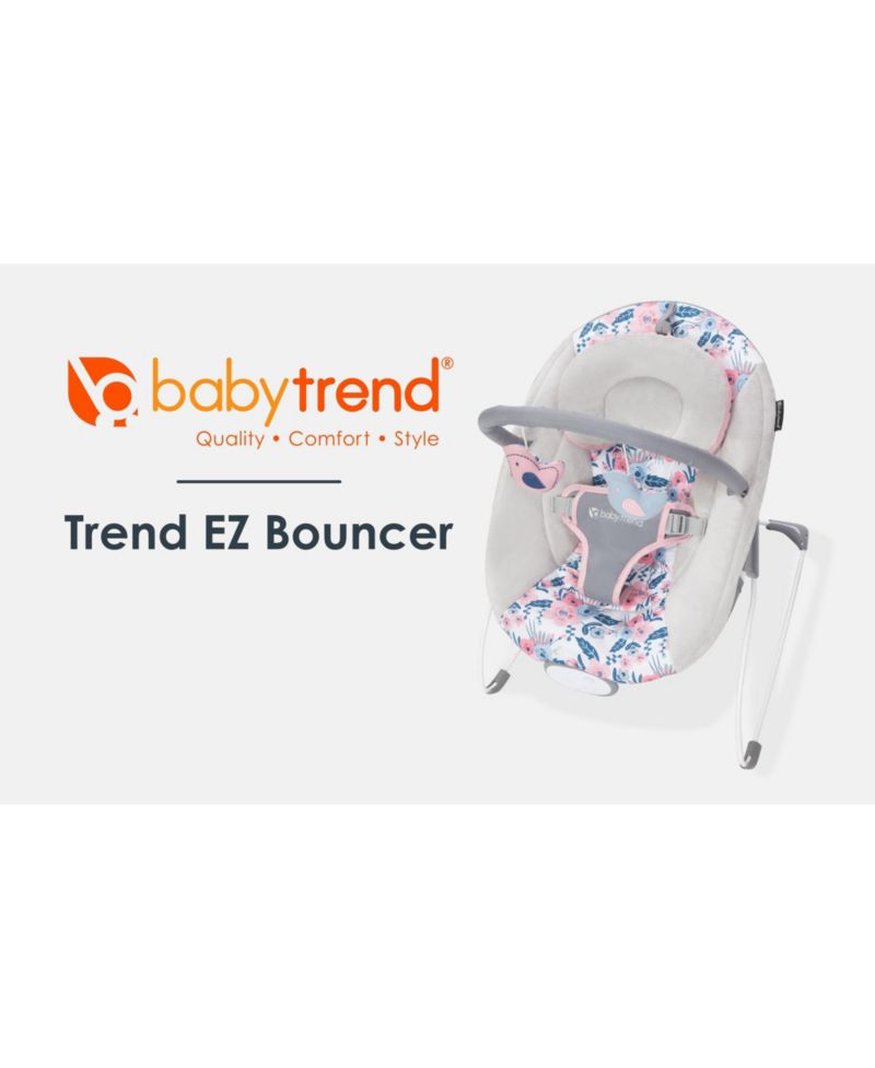 Smart Steps Kids Trend EZ Bouncer