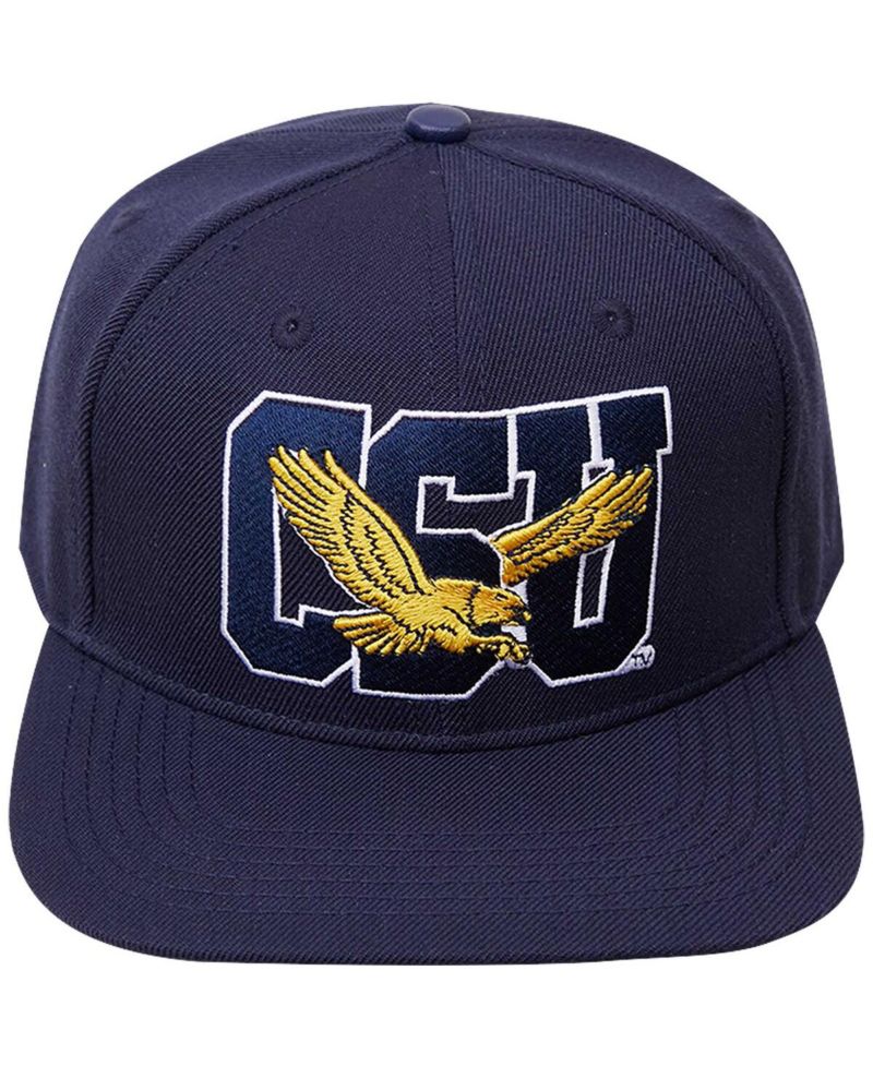 Men's Navy Coppin State Eagles Evergreen CSU Snapback Hat