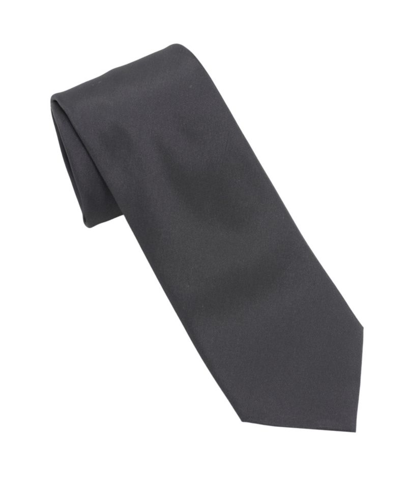 Men’s Iridescent Solid Necktie