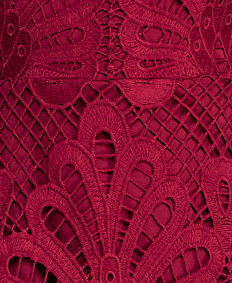 Juniors' Embroidered Lace Dress with Long-Sleeve and Scallop-Hem