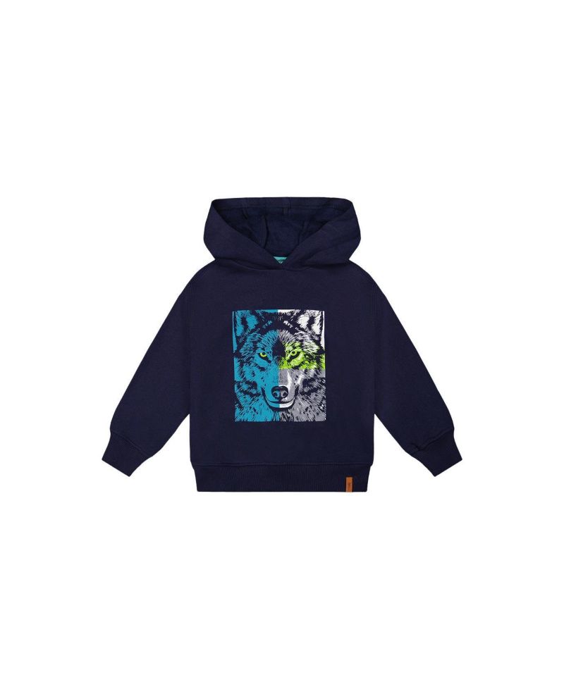 Little and Big Boy Fleece Hooded Sweatshirt
