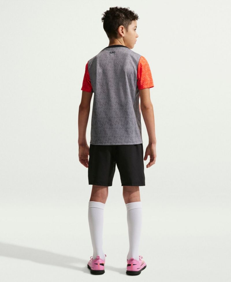 Big Boys and Girls Gray Chelsea 2025/26 Academy Pro Pre-Match Top