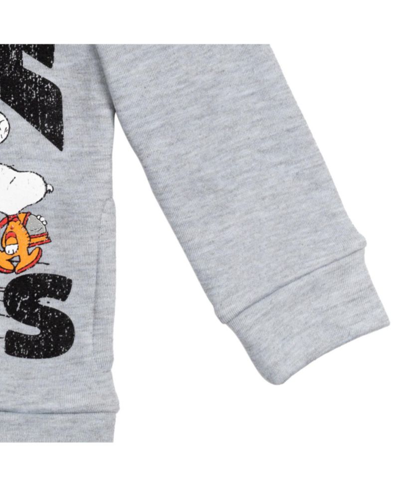 Boys Peanuts,Woodstock Snoopy Fleece Pullover Hoodie