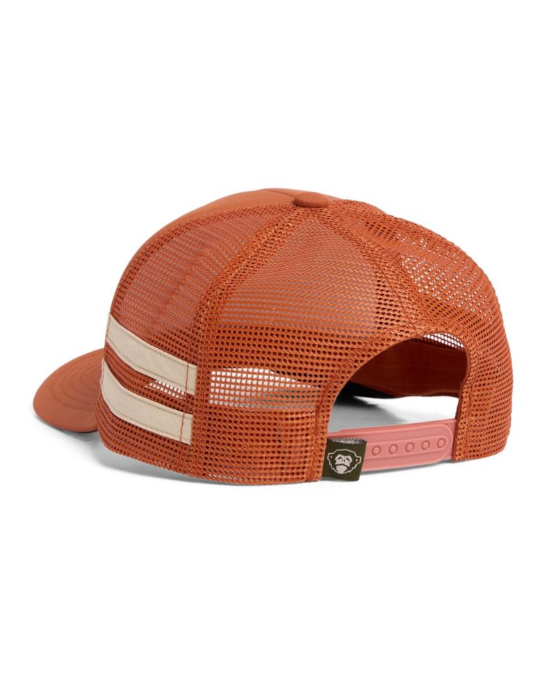 Men's and Women's Texas Orange Texas Longhorns Bevo Foam Adjustable Trucker Hat