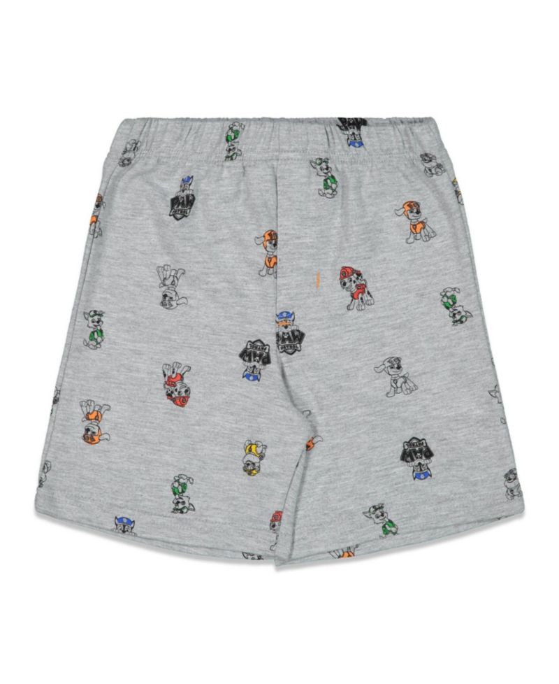 Little Boys 2-Piece T-Shirt and Shorts Set