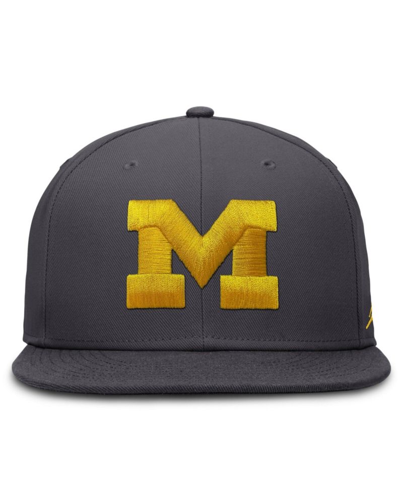 Men's Nike Anthracite Michigan Wolverines Pro Dri-FIT Fitted Hat