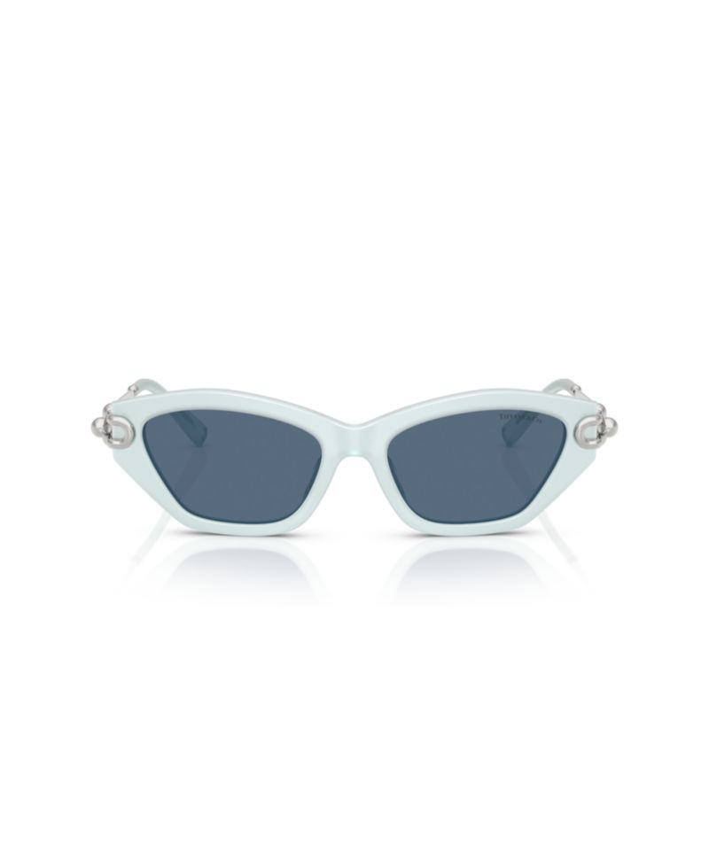 Women's Standard Sunglasses, TF4231U