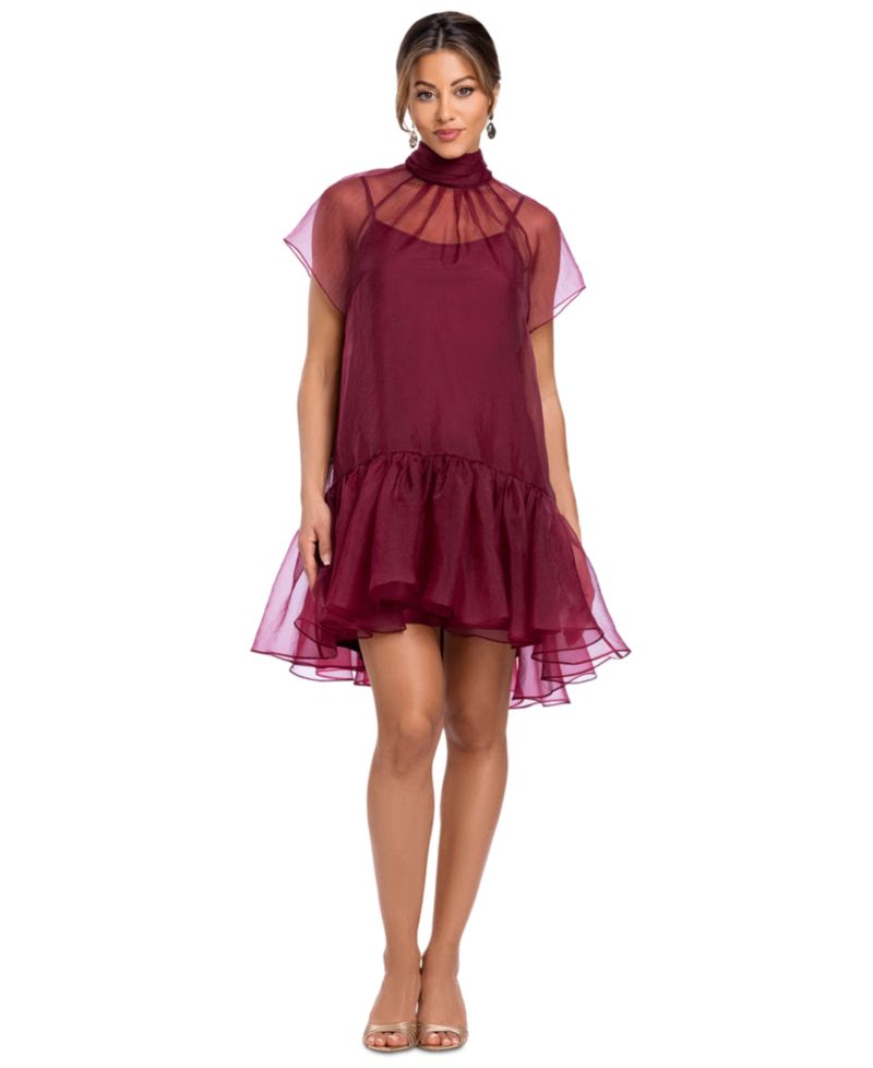 Women's Organza Mock Neck Ruffle Hem Dress