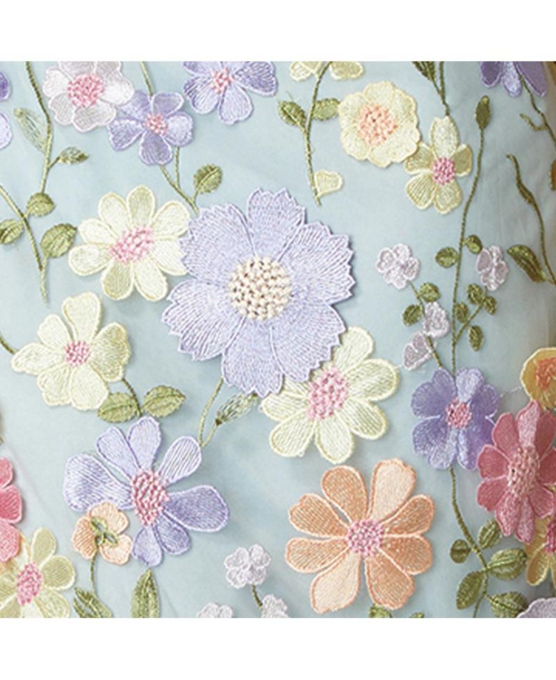 Women's Floral Embroidered Midi Dress