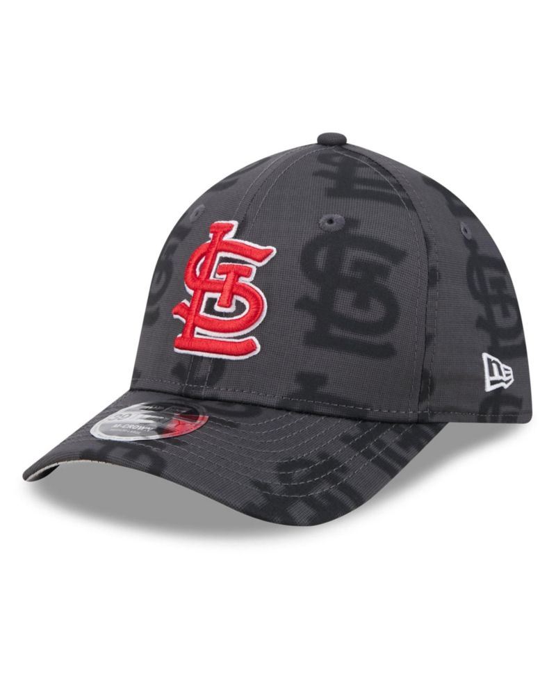 Men's Gray St. Louis Cardinals Halftone 39THIRTY Flex Hat