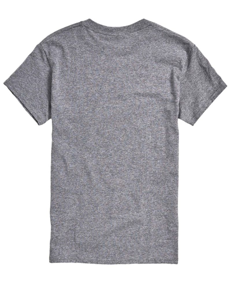 Men's Garfield USA Cheer Short-Sleeve Graphic T-Shirt