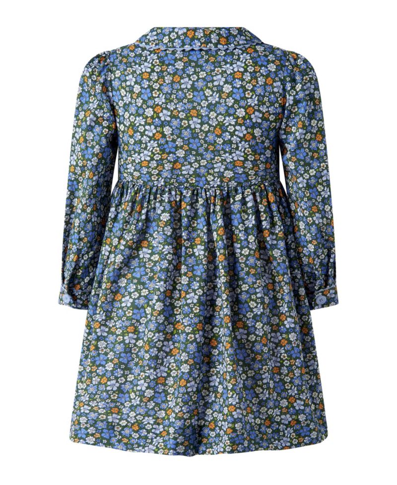 Toddler Girls' 2T-5T Meadow Floral Button-Front Long-Sleeve Fit & Flare Dress