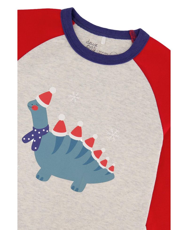 Little Boys 6-12 Cotton Two Piece Pajama Set Dinosaur Print
