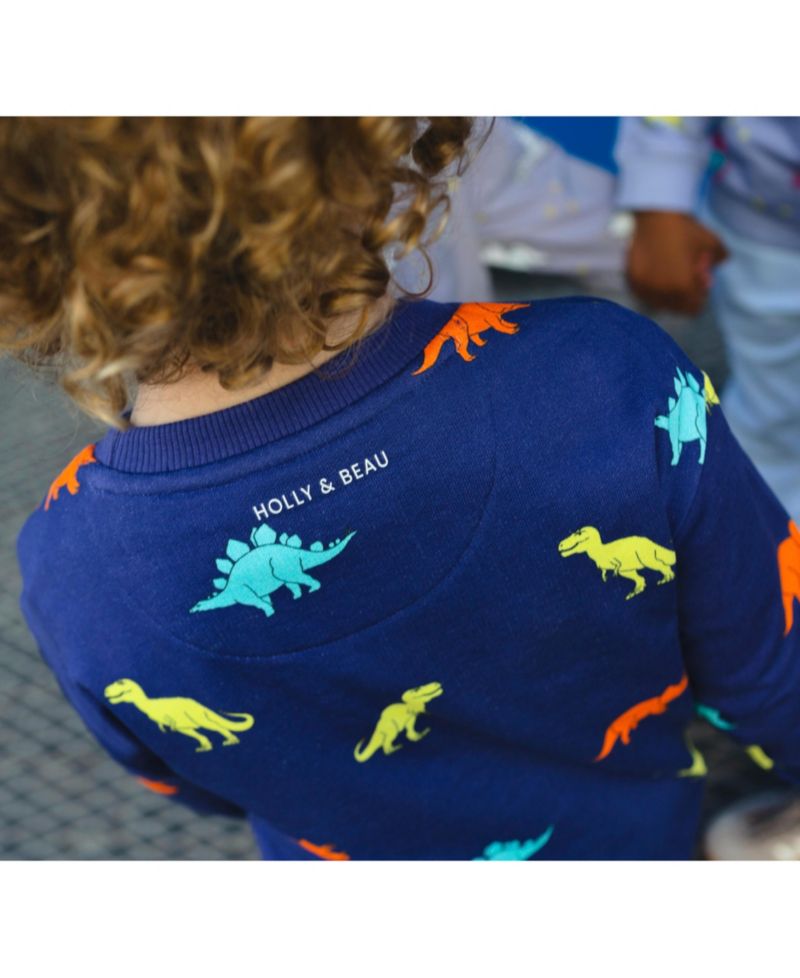 Little Boys Dinosaur Cotton Crew Neck Sweatshirt