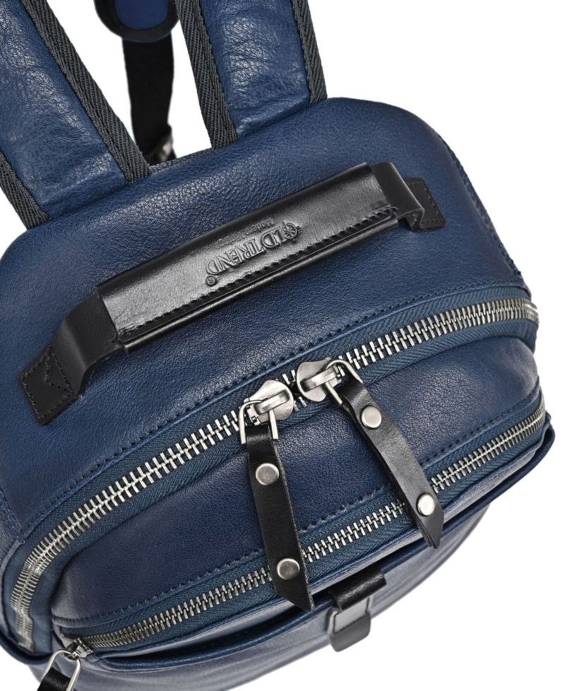 Sun-Wing Small Leather Backpack