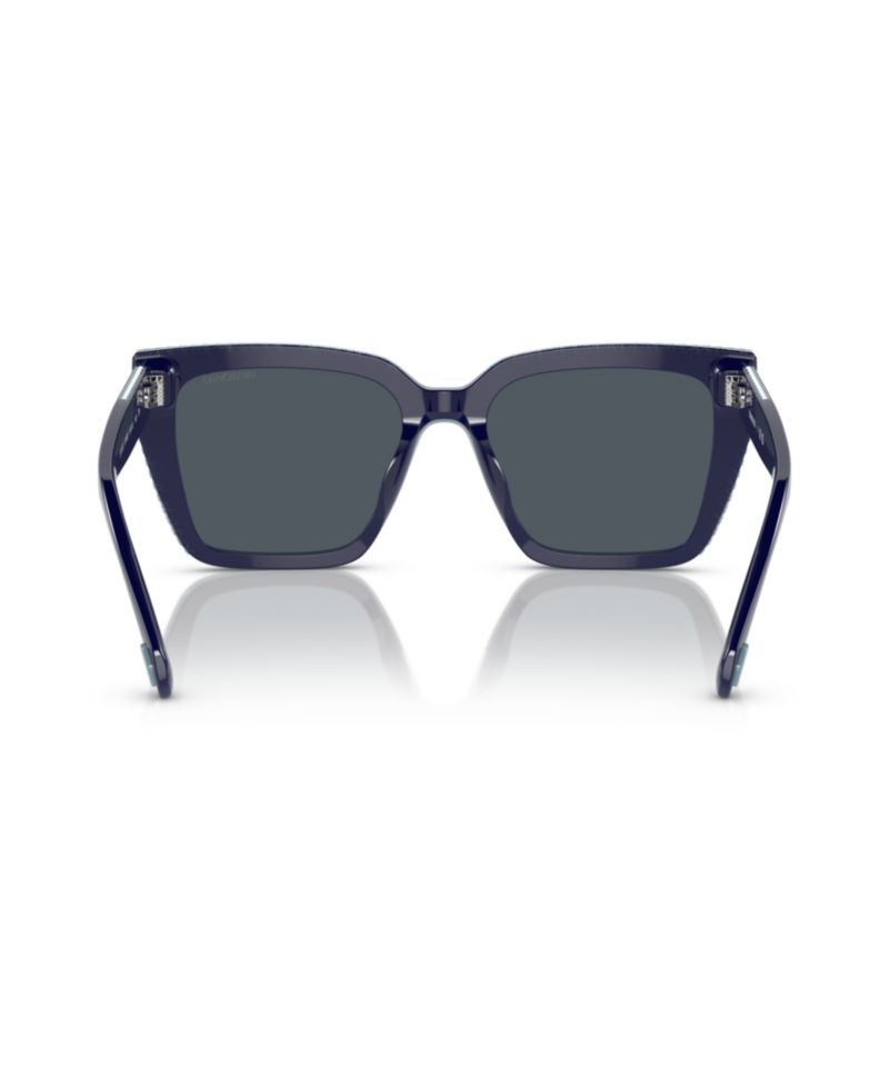 Women's Sunglasses SK6013