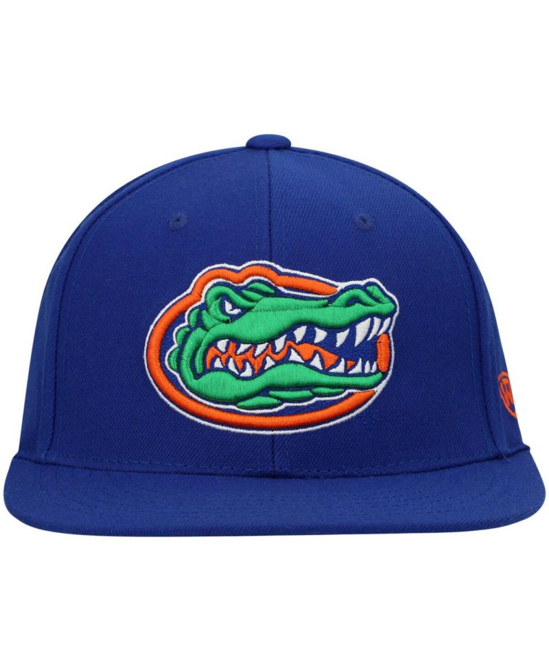 Men's Royal Florida Gators Team Color Fitted Hat
