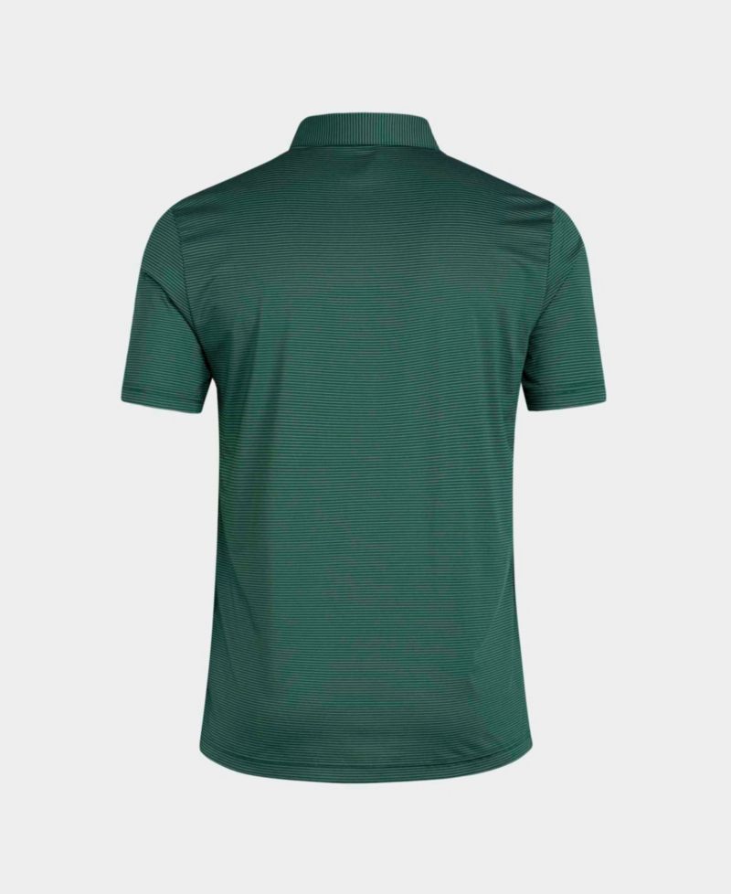 Men's Green Miami Hurricanes Ultimate 365 Stripe Polo
