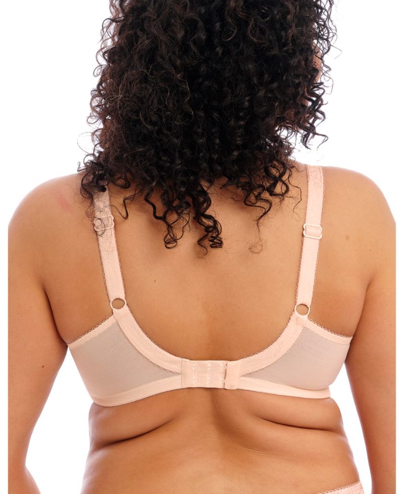 Plus Size Full Figure Morgan Banded Underwire Stretch Lace Bra EL4110