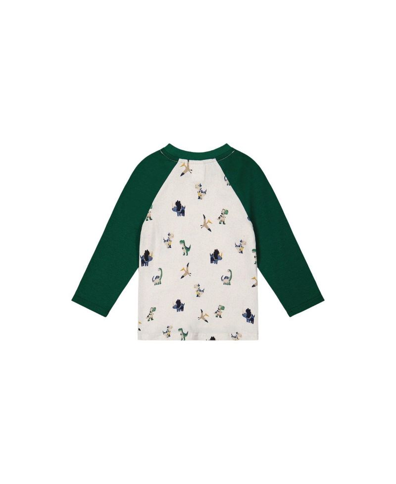 Little Boys (6Y-8Y) Long Sleeve Raglan T-Shirt
