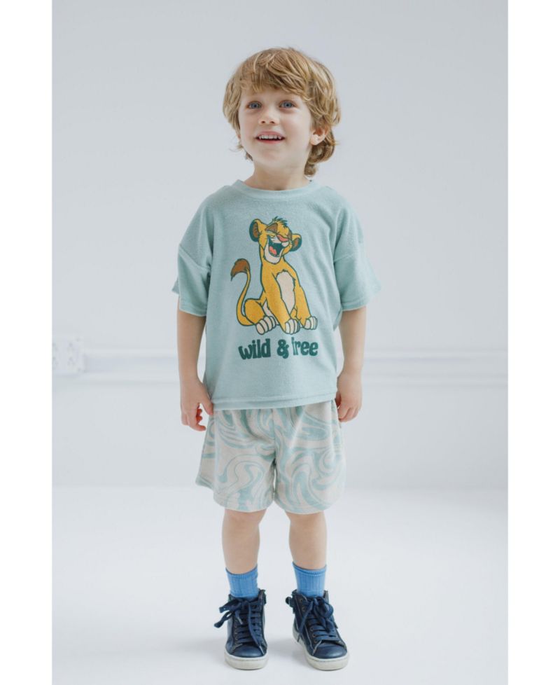 Little Boys T-Shirt and Shorts Outfit Set