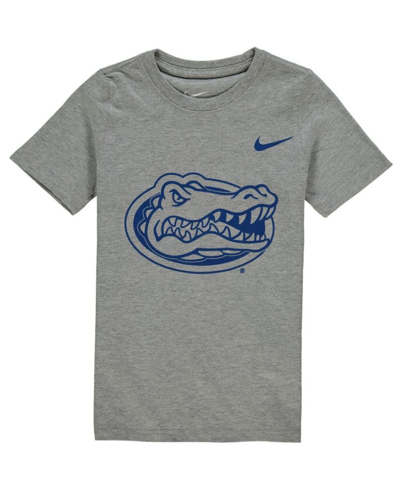 Preschool Boys and Girls Charcoal Florida Gators Logo T-shirt