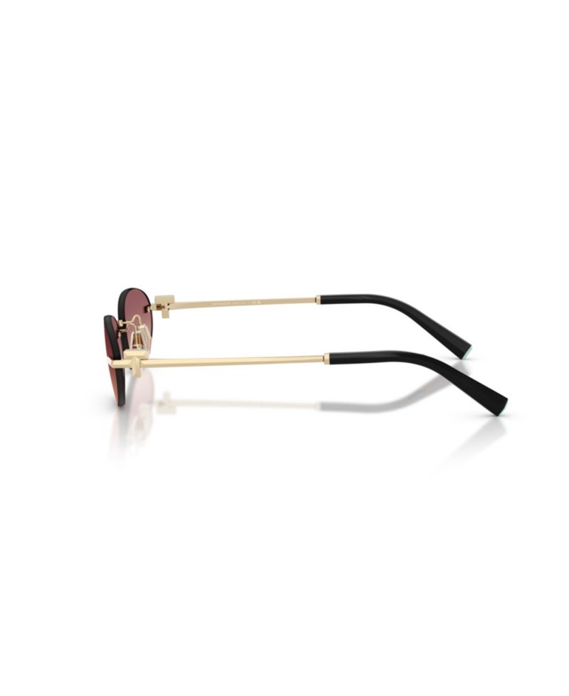 Unisex Oval Sunglasses, TF3119D