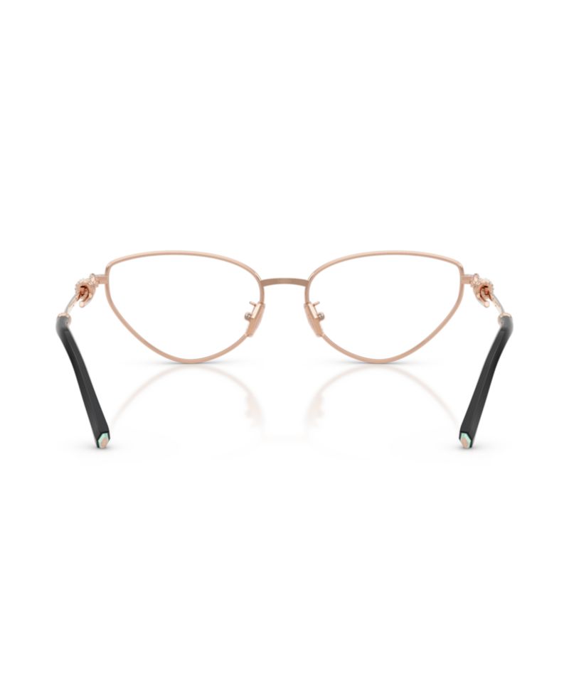 Woman Cat Eye Metal TF1172B Eyeglasses