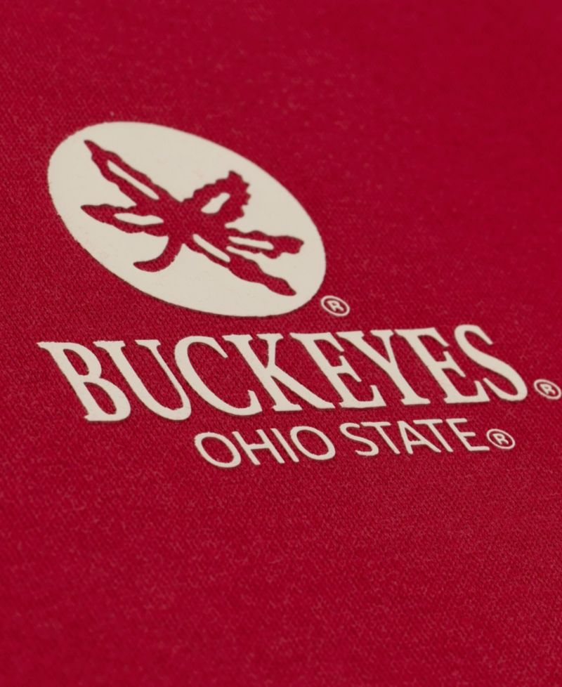 Men's Scarlet Ohio State Buckeyes Core Icon Fleece Hoodie