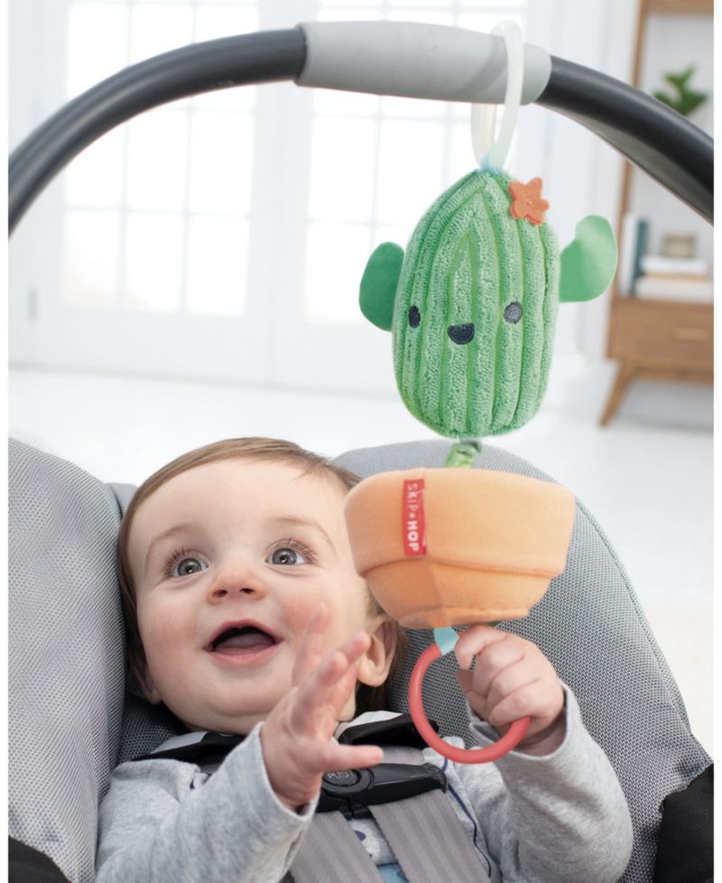 Farmstand Cactus Jitter Toy