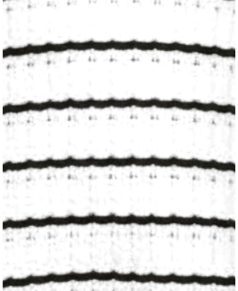 Little Girls (6 - 12) Organic Bow Detail Pointelle Sweater Dress