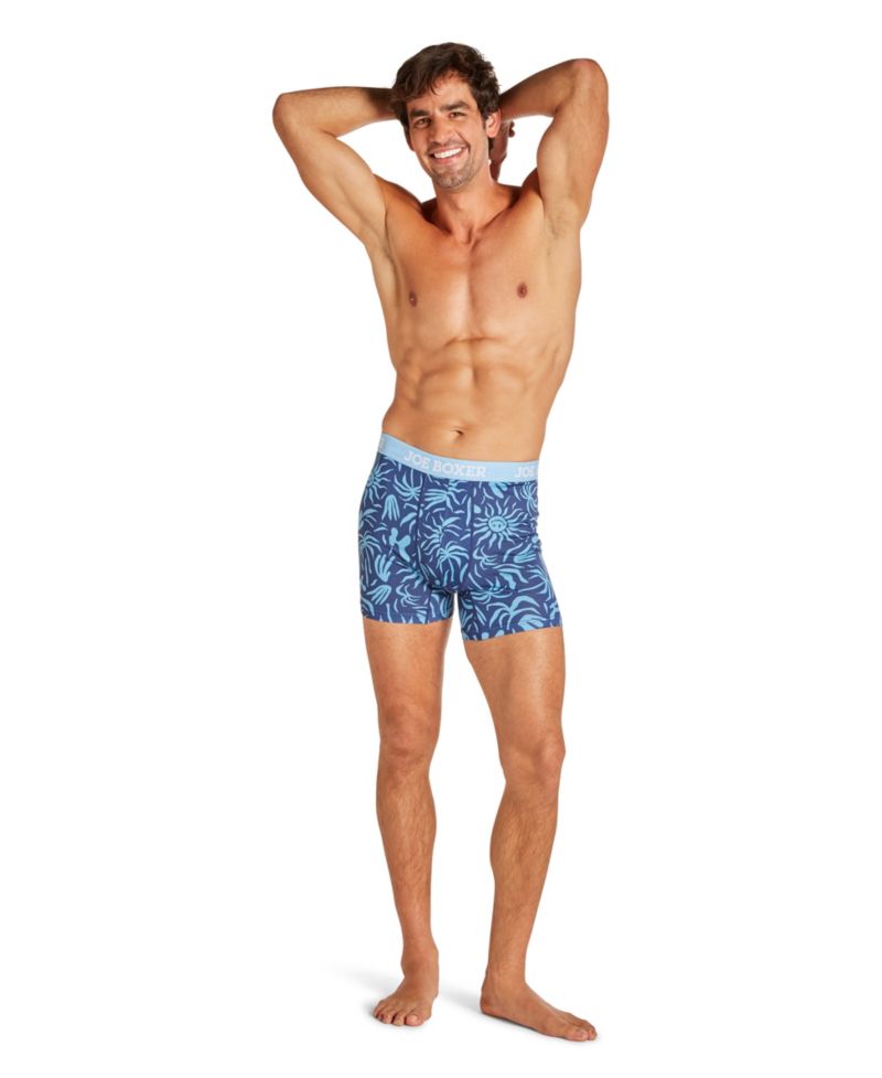 Men's 4-Pack Micro Mesh Boxer Brief