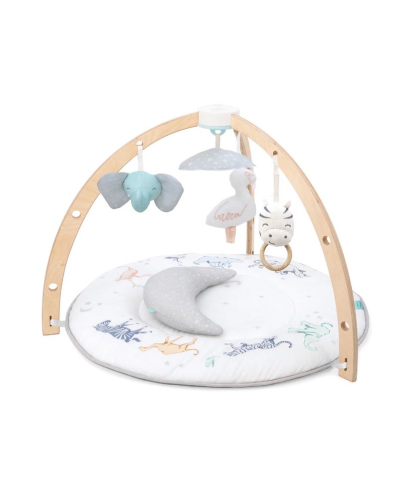 Activity Gym