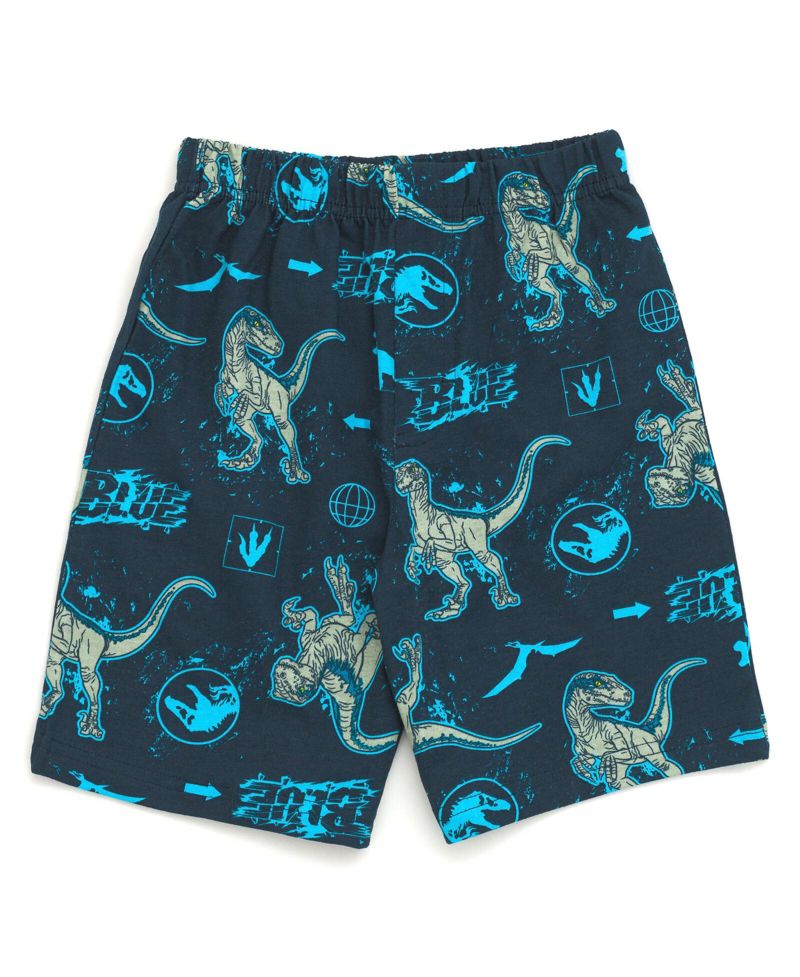 Jurassic World Blue French Terry Sweatshirt and Bike Shorts Little Kid to Big Kid