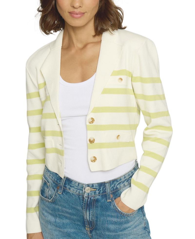 Women's Stripe Knit Blazer